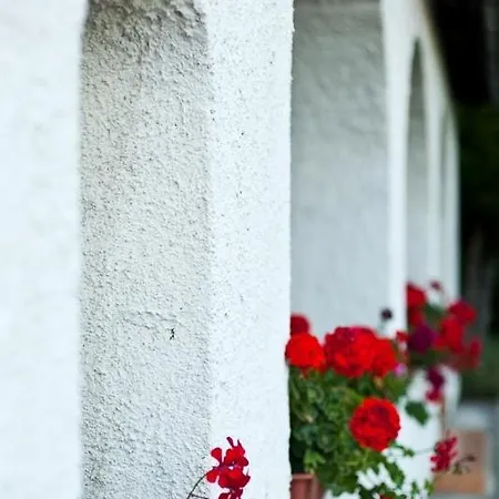 Guest house Elisabeth Vendeghaz