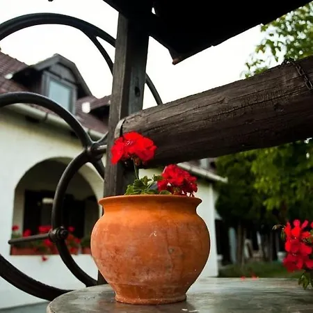 Elisabeth Casa de hóspedes